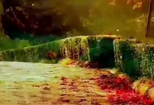 中国互联网多项指标领跑全球，创新引领未来浪潮