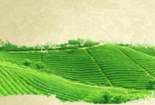 六大行三季报出炉：中行净利猛增5.09%领跑榜单