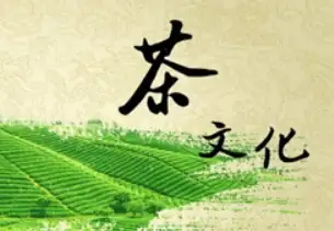 两新政策释放澎湃动能，财政数据揭秘经济新动能崛起