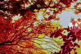 掌控交易新边界：Exness快速出金重塑自主权未来