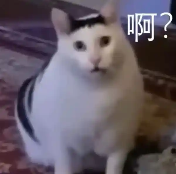 手机参数页暗藏玄机，厂商营销手段升级