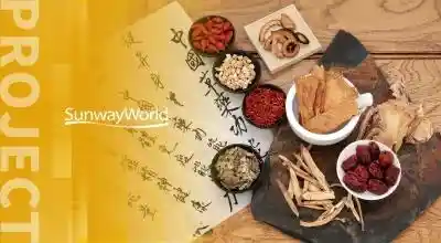 三维天地药典智能引擎：打造智慧药典知识中枢与全链路质控新标杆