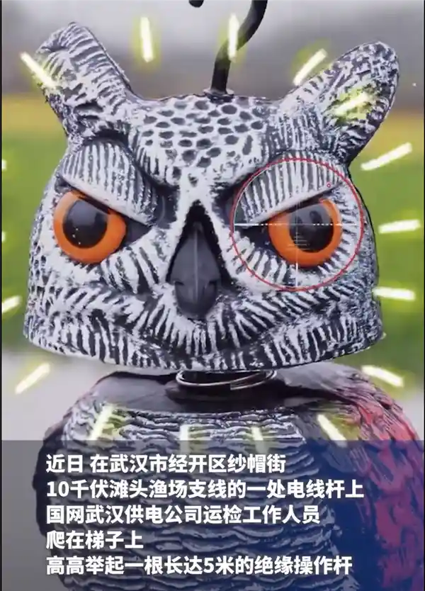 新型猫头鹰警长上线！智慧电网守护者太聪明啦