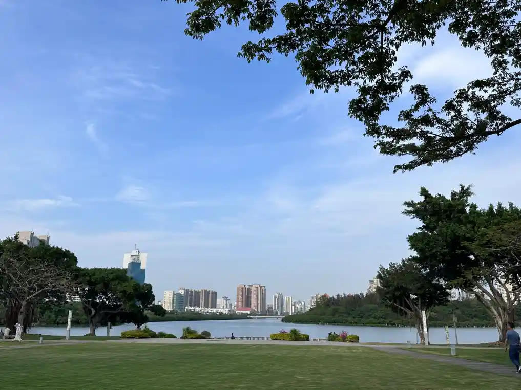 探寻绿色发展中的厦门奇迹——解锁生态与经济协同发展的新密码