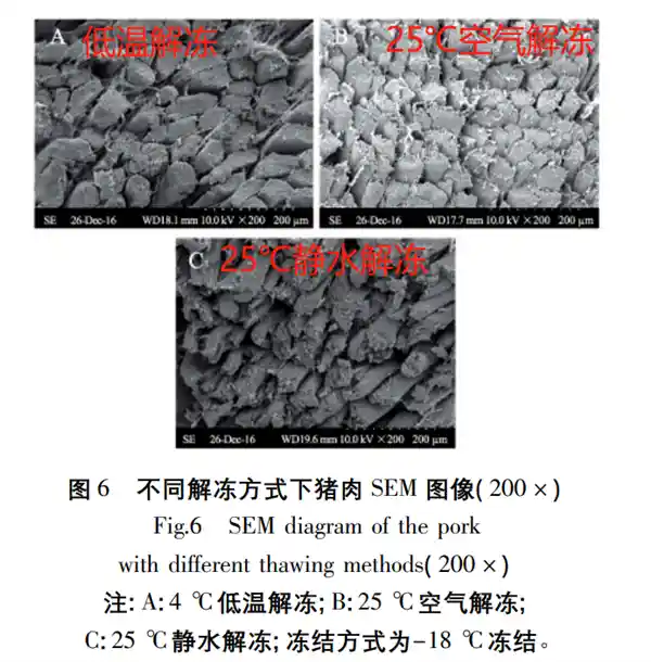 《隐形的健康杀手：揭秘你不知道的不良习惯》