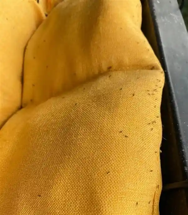 警惕！近期这个颜色的衣服或让你成为焦点