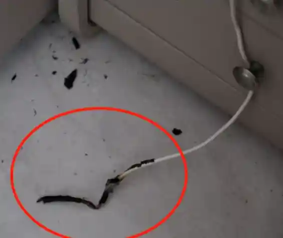 《女子睡前随意放置充电线竟引发火情！清晨醒来惊见枕边惊魂》