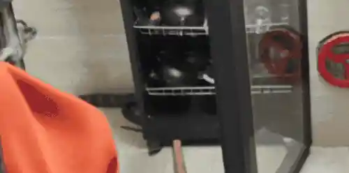 惊现2米眼镜王蛇民宿作客，捕蛇钳一出秒变驯蛇大师！