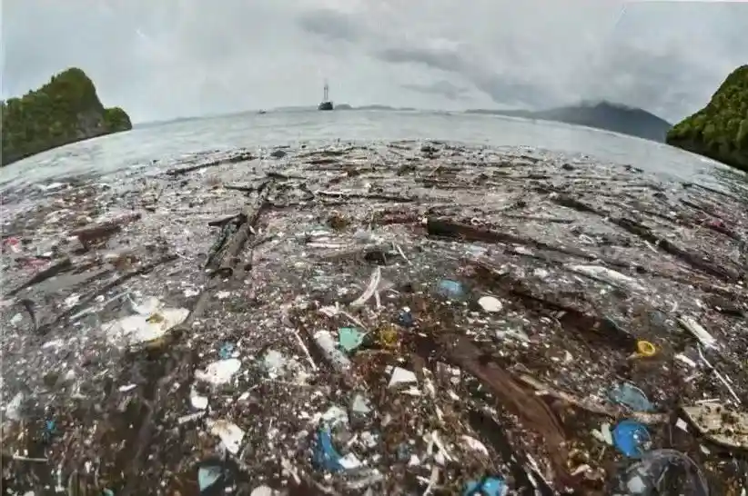 特朗普P图甩锅：‘中国的礼物’成了舆论焦点？