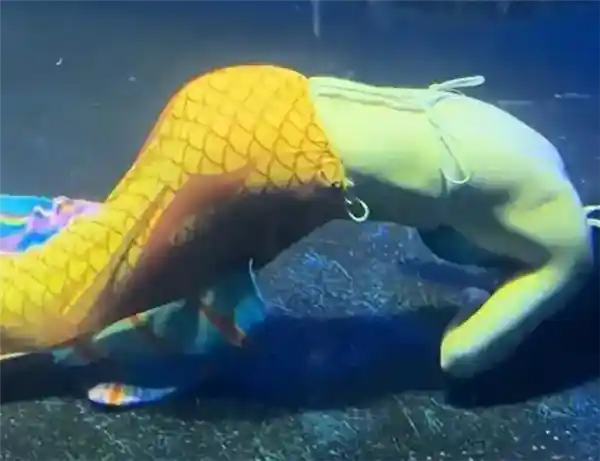 太原美人鱼奇迹生还：脚蹼脱落真相揭秘，绝非低血糖导致溺水！