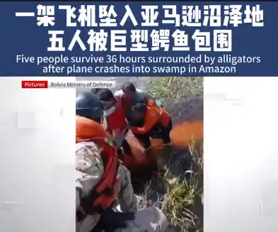《险境求生：飞机迫降亚马逊腹地，鳄鱼与巨蟒的无声守候》