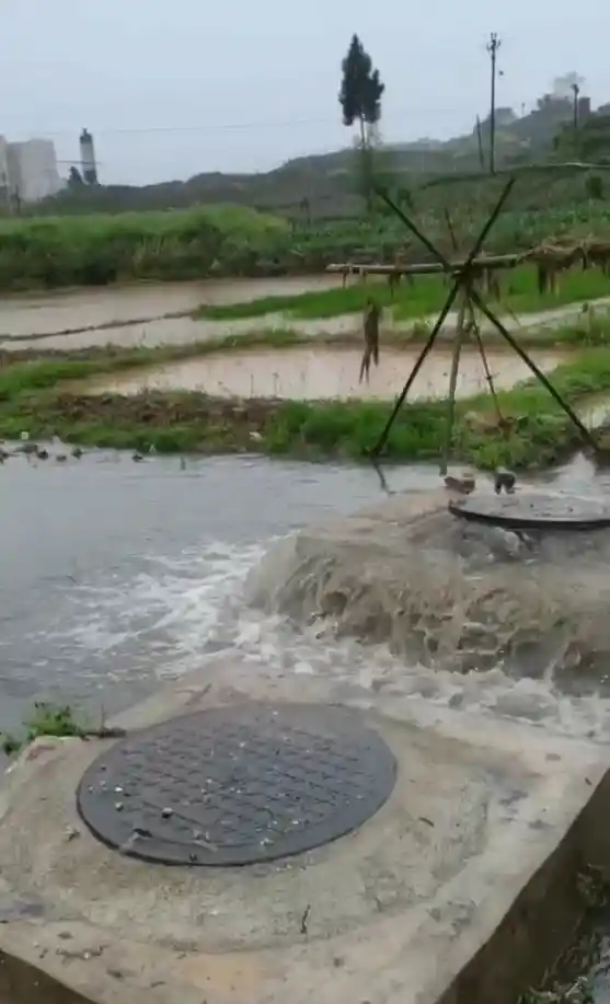 《治污疏堵，还农村一片净土——向生活污水说不》