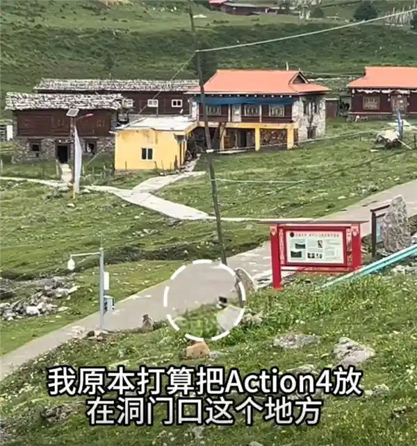 大疆Action 4竟遭土拨鼠劫持 客服笑翻网友