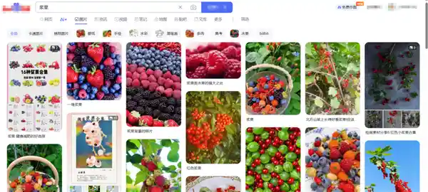 爆浆水果新发现：一口激活大脑年轻力，抗氧化冠军竟藏身于此？