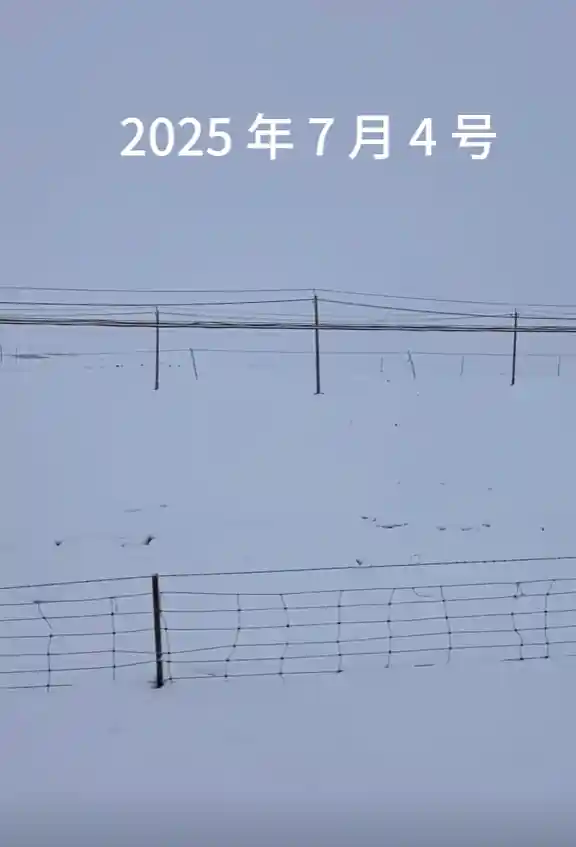 青海七月飞雪引热议，气象局：可能性极低