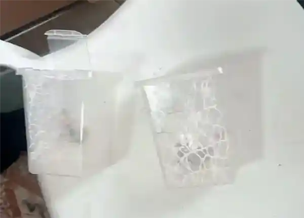 男子误杀邻居网红宠物螳螂，赔偿400元引热议！专家提醒：异宠饲养需三思