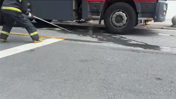 佛山一公园惊现两米巨蟒，消防员智捕放归自然