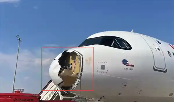 惊魂一刻！西班牙A321刚起飞遭鸟群撞击，机头血迹斑斑紧急返航