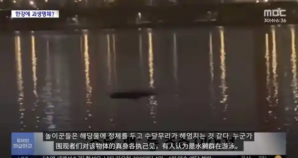 汉江惊现神秘巨物！网友热议：是浮漂还是未知威胁？